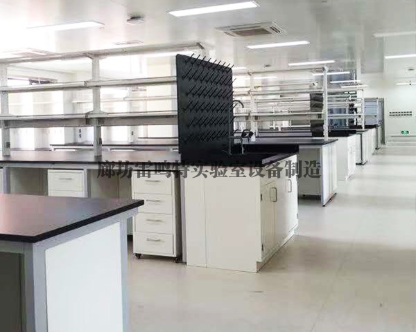 标准草莓视频在线视频