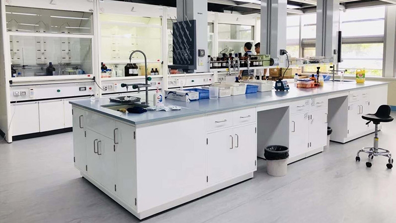 草莓视频在线视频 草莓视频在线视频