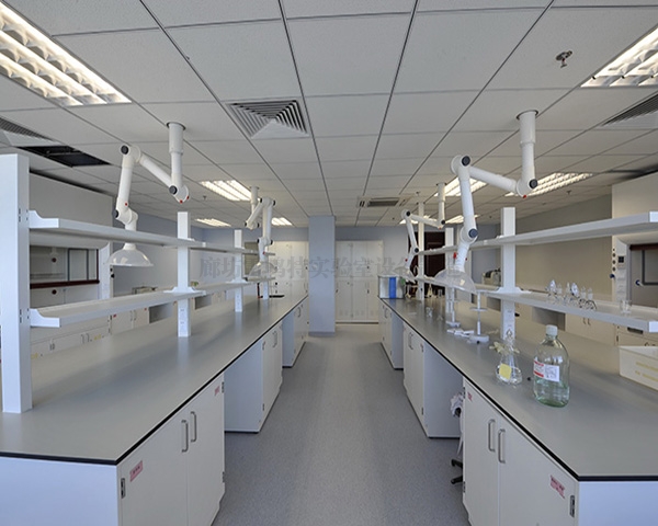 草莓视频在线视频