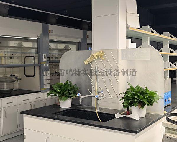 草莓视频在线视频