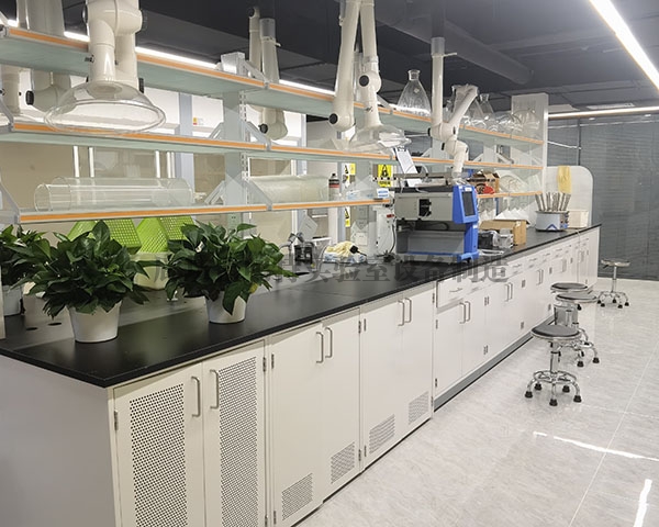 草莓视频在线视频