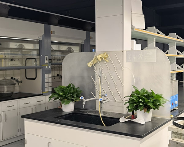 草莓视频在线视频