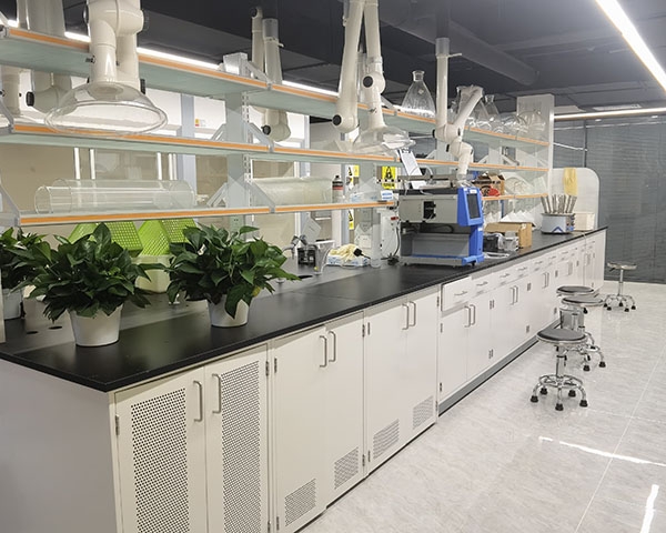 草莓视频在线视频