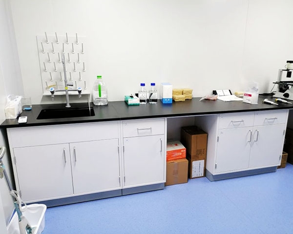 草莓视频在线视频