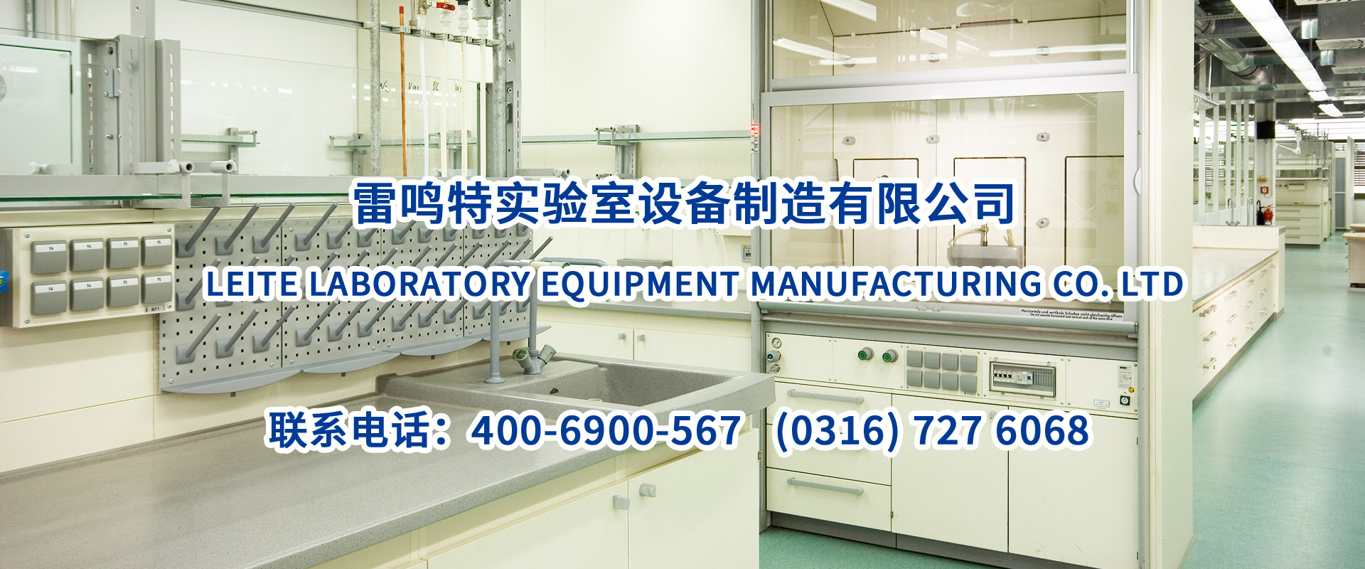 草莓视频在线视频